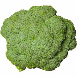 broccolo
