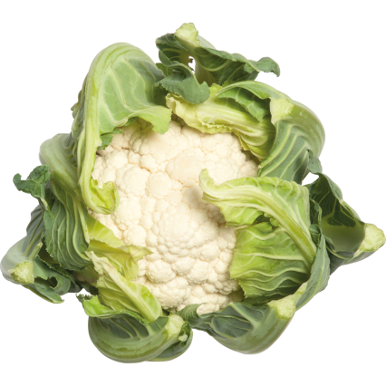 cavolfiore