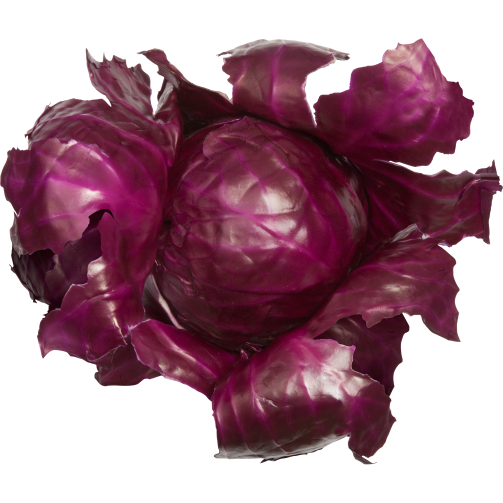 cavolo rosso