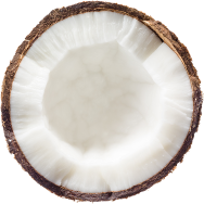 cocco