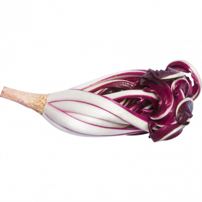 radicchio