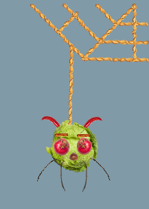 Il ragnetto furbetto