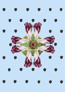 Simmetrie psichedeliche