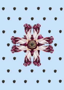 Simmetrie psichedeliche